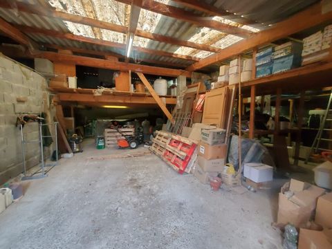 photo no. 19