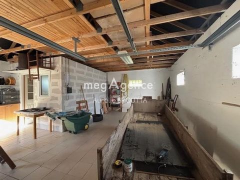 photo no. 9