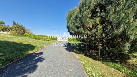 photo no. 13