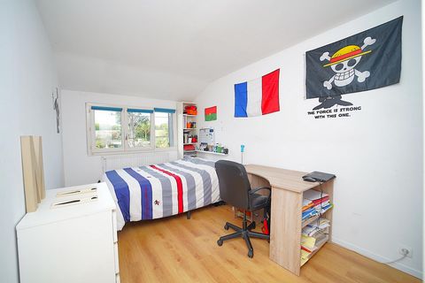 photo no. 10