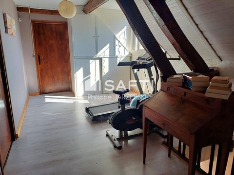 photo no. 17