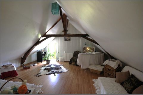 photo no. 11