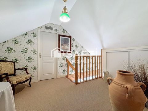 photo no. 9