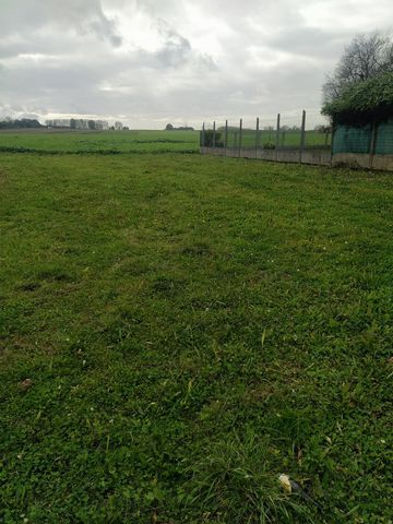photo no. 1