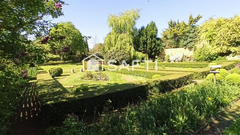 photo no. 17