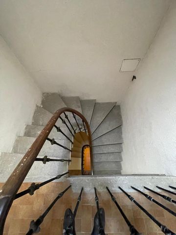 photo no. 3