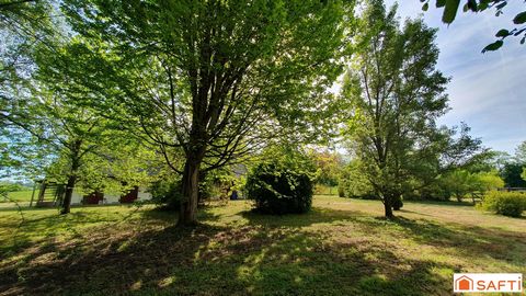 photo no. 16