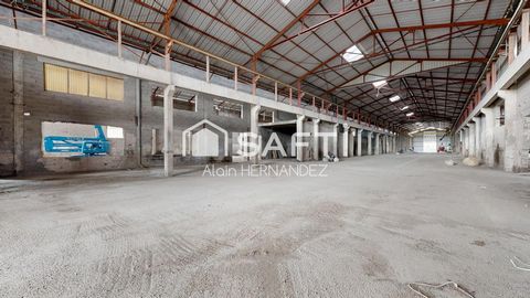photo no. 19