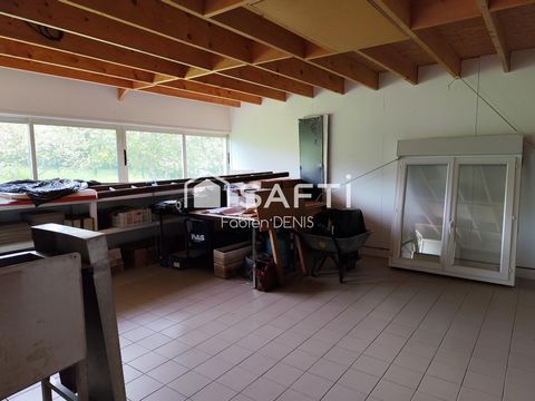 photo no. 5