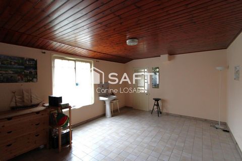 photo no. 5