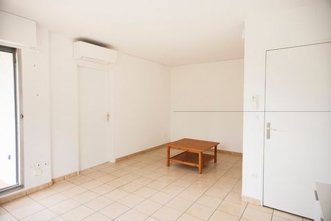 photo no. 2