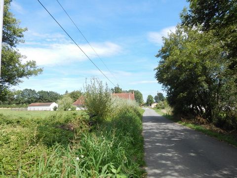 photo no. 16