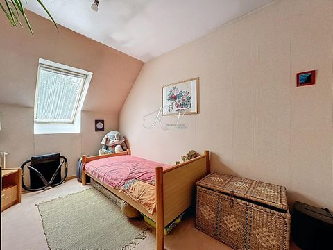 photo no. 9