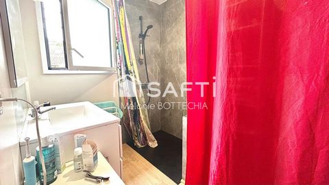 photo no. 9