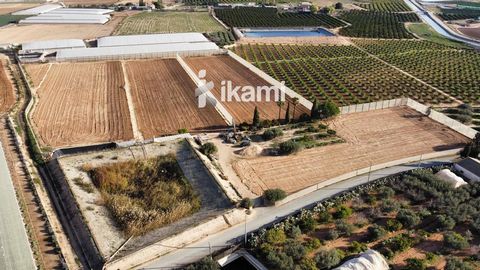 **Plot in San Cayetano - Unique Opportunity** IKAMI ESPAÑA presents a spacious 30,000-square-meter property in the district of San Cayetano, just 5 minutes from San Javier. This commercial space offers considerable potential for various uses, with pr...