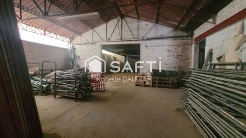 photo no. 6