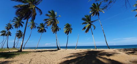 Strandfront mark till salu, Miches Laguna Beach, en utvecklardröm. Erbjuder miles av orörd jungfrukust där kokosnötterna bokstavligen faller av träden i din väg. Området Miches har uppmärksammats av de stora utvecklarna, med Club Med Hotel nu i drift...