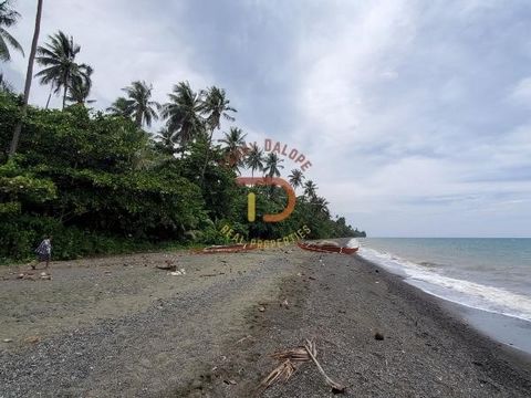 Opción 1. Compre las 27 hectáreas completas a USD 928.000 Opción 2. Compre la playa de 1,04 hectáreas a USD 172.000 Opción 3. Comprar porciones de tierra en la parte posterior a $ 34,400 por hectárea   Dirección de la propiedad: Linay Manukan, Zamboa...