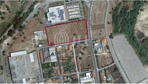 Land with an approved license for the construction of 5,500 sqm set in an urban plot with 15,983 sqm, located in Ponte Sôr, Portalegre. Next to the Continente Hypermarket and facing the main avenue of the city. Near the Ponte Sôr Airfield. CM Setúbal...