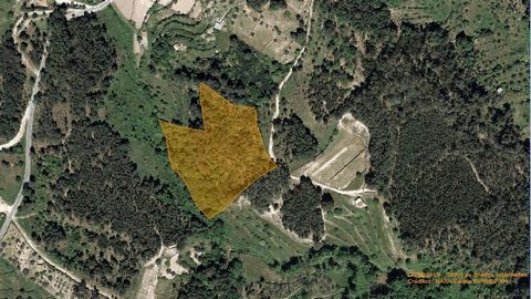 Rustic land with about 1 (ha) located in S. Martinho in the Municipality of Seia. Great investment for cultivation or due to its ideal slope to invest in the placement of Solar Panels. Electricity close to the site. Come and meet us. Book a visit wit...