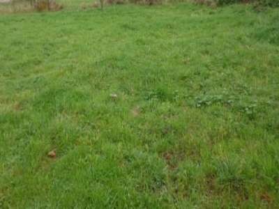 To discover very quickly, this building plot completely serviced of 982m2 located in Layrac, small quiet village on the countryside side near Villemur sur Tarn and Bessières, flat, no path to create. It is easy to project and what to make a very nice...
