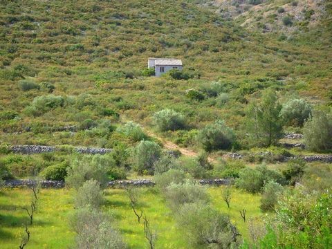 Fantastic rustic building plot for sale in Alcalali.  This plot is located just outside Alcalali with good sunlight. At the moment there is a small house, which can be made habitable with little effort. Furthermore, there is a valid building licence ...
