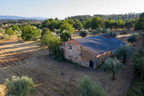 This magnificent farmhouse is located in Arrifana, 10 minutes from the center of Vila Nova de Poiares. It contains a house to restore and several fruit trees, where water from the well abounds. An excellent investment for those who want the tranquili...