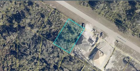 A VACANT LOT IN LEHIGH ACRES LEE COUNTY!!!