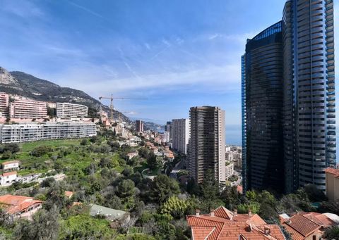 NEW AND MAGNIFICENT APARTMENTS with panoramic views of MONACO and the Mediterranean Sea. Discover the prestigious new real estate program of Villa 33 in Beausoleil, offering a rare opportunity at the gates of Monaco. This exclusive residence offers a...