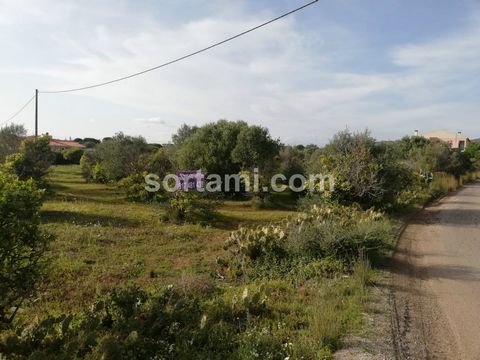 Plot of land with 16.000m2 for construction of a villa in Pereiras de Cima in the Quarteira area. This plot has one article destined for habitation with 2 divisions and patio and another with orchard land, vegetable garden and trees. Located approx. ...