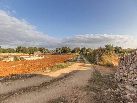 Are you looking for a rustic plot for sale near the village of Sant Lluís? This is a large plot of land of 28,793 m² located in S'Ullastrar, a few steps from the village. It has several arable areas, ideal for cultivation, as well as several fruit tr...