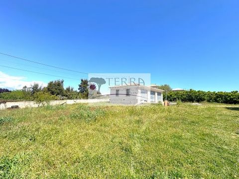 Terra Immobilier Solenzara offers you, exclusively, a flat plot of 917 m2, with unobstructed views of the mountain, and on which is built a garage of 67 m2. It is ideally located in the center of Aleria and therefore close to all amenities. It benefi...