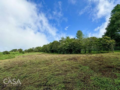Explore the potential and serene beauty of this flat lot for sale in Alto Jaramillo, Chiriqui. Positioned alongside a paved road, this 987.52 square meter property offers mountain vistas, providing a tranquil backdrop for your dream home or investmen...
