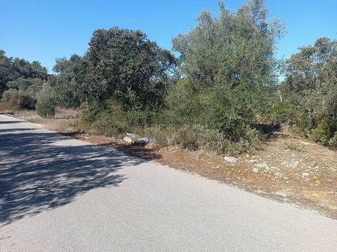 Vous êtes à la recherche d’une opportunité exceptionnelle d’investir dans un coin de paradis serein et entouré de nature près du célèbre sanctuaire de Fátima ? Ne cherchez pas plus loin ! C’est avec fierté que vous présente un terrain de deux hectare...