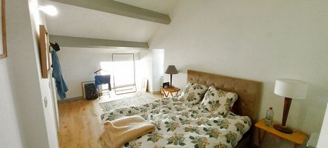 photo no. 10