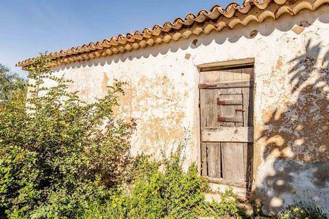 Excellent opportunity to acquire three rustic plots of land and a mixed plot of land with a 240m2 ruin, located in the Guinea area of Paderne - Albufeira. With a total area of 6,6800m², divided as follows: 1- Rustic land, an area of 1040m2 with a rui...