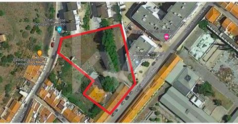 Terrain urbain d'une superficie totale de 3.340m2 situé dans le Centre Historique de Silves Situé à 500m du CM Silves et avec accès au nord et au sud. Il y a actuellement 2 entrepôts avec des contrats de location en vigueur et une surface privée brut...