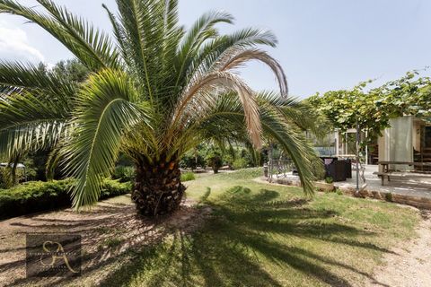 photo no. 2