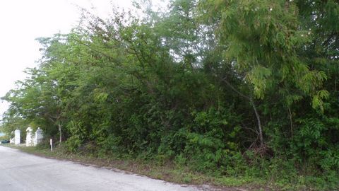 This lot is a great location to build your dream home or cottage. It's in a cozy, quiet area but still close to grocery stores, schools, restaurants, gas station, churches, Deadman's Cay Airport and Police Station! There is a complete foundation of a...