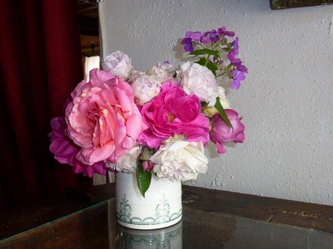 photo no. 30