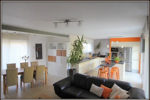 photo no. 2