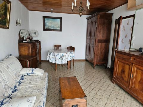 photo no. 4
