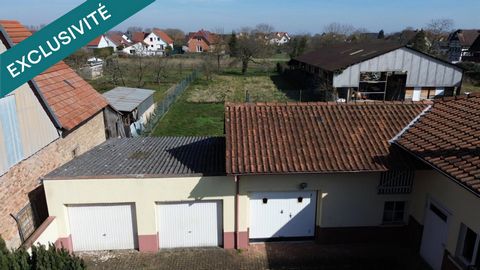 photo no. 14