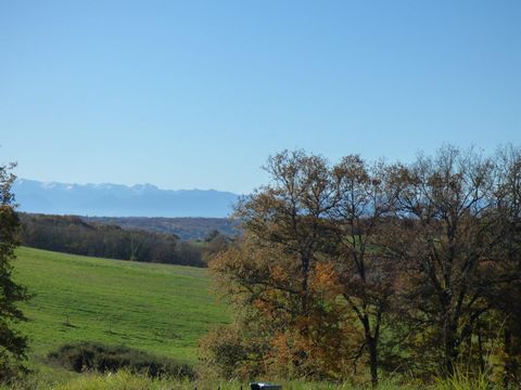 photo no. 1