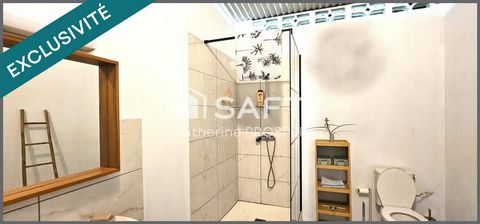 photo no. 12