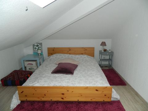 photo no. 9