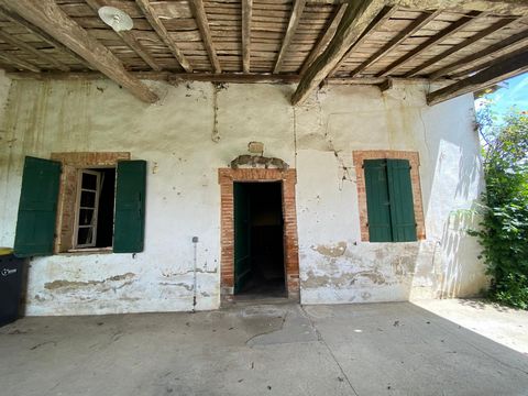 photo no. 3