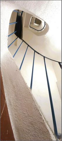 photo no. 9