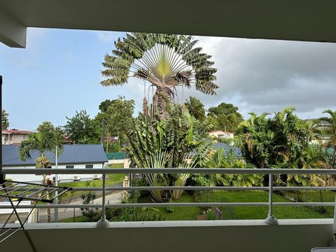 photo no. 11