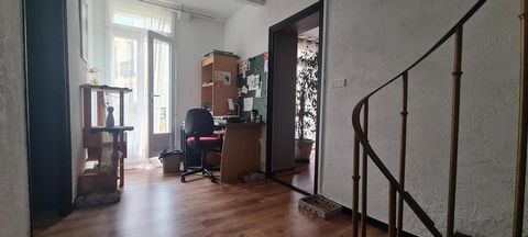 photo no. 4